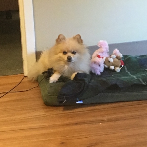 Not to buy - Picture 2 of 7